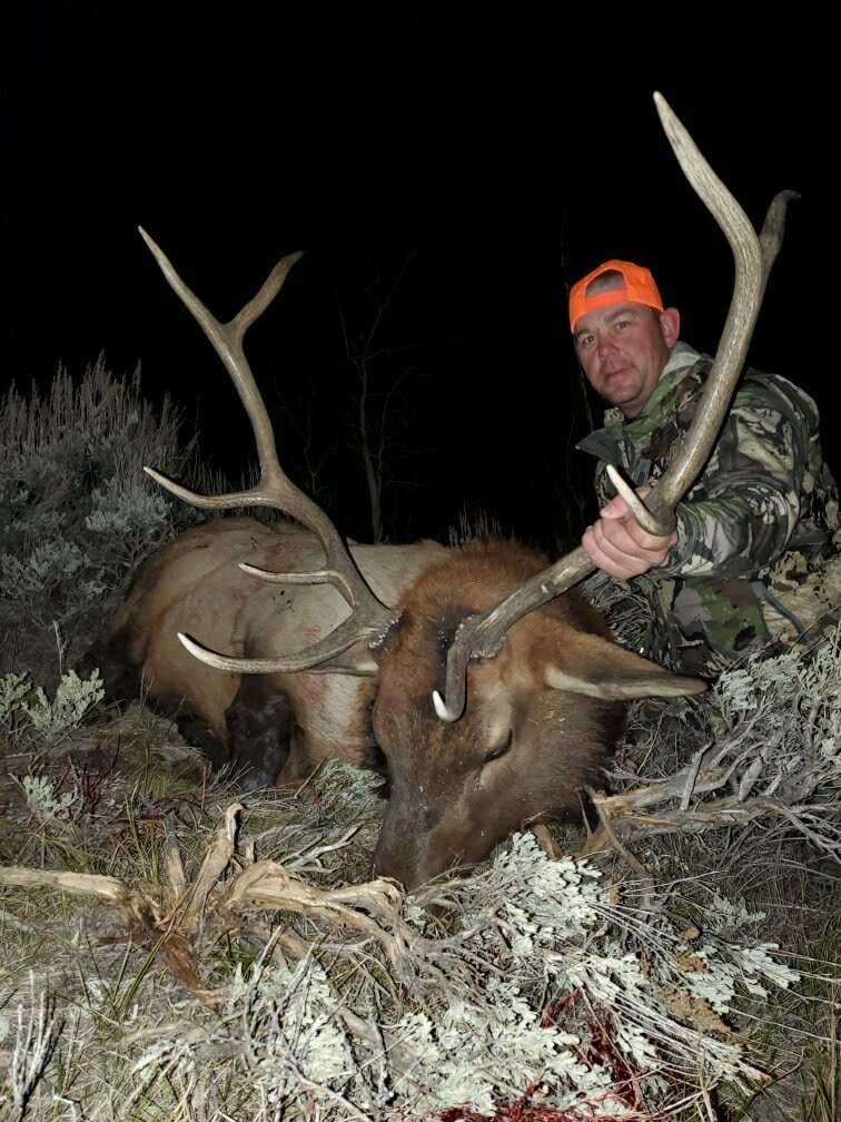 Colorado Elk Hunting Outfitters Private Ranch Colorado Elk Hunts